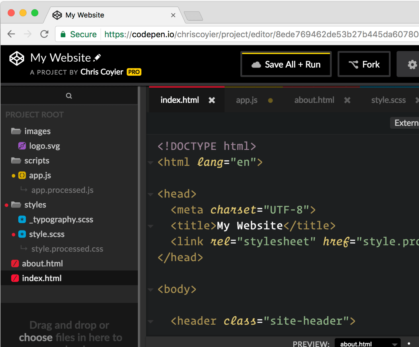 A CodePen